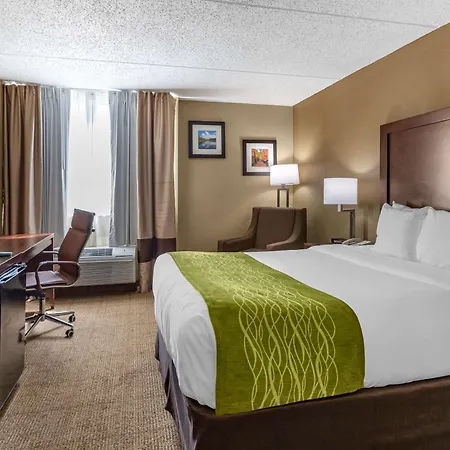 Comfort Inn Edison - New Brunswick-3