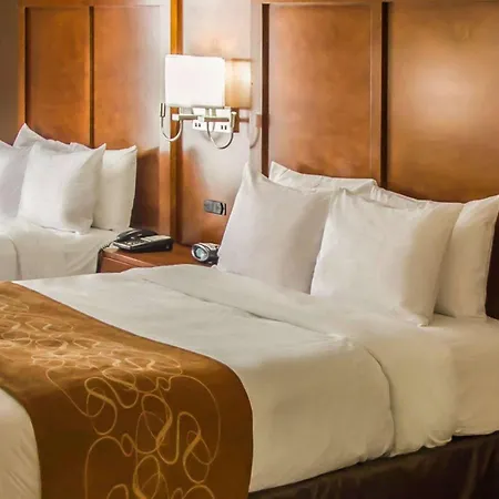 Quality Suites Nyc Gateway-3
