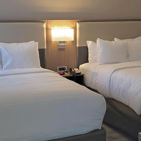Comfort Inn & Suites Wyomissing-Reading-3