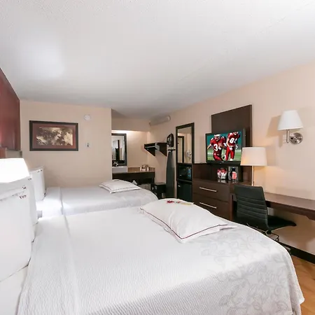Red Roof Inn Plus+ Washington Dc - Manassas-3