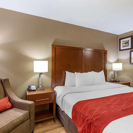Comfort Inn & Suites Cedar Rapids North - Collins Road-2