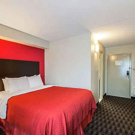 Quality Inn Near Potomac Mills-2
