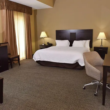 Hampton Inn & Suites Alexandria-3