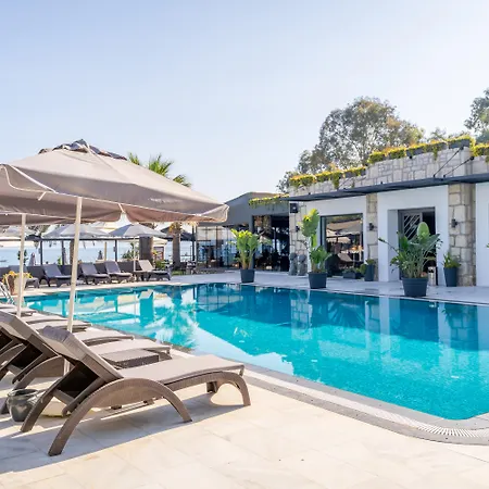 Moyo Luxury Hotel & Beach-3