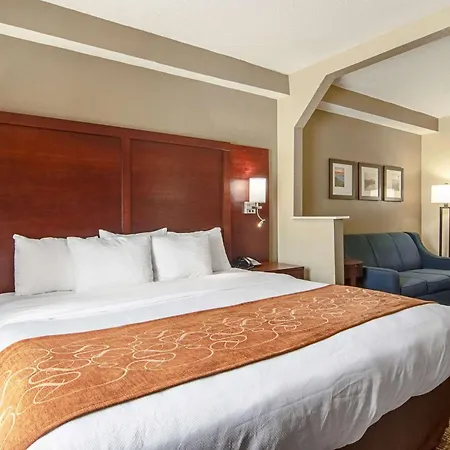 Comfort Suites Knoxville Airport-3