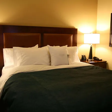 Homewood Suites By Hilton Fayetteville-3