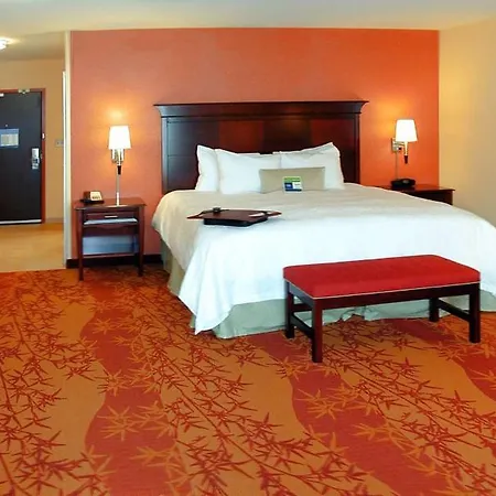 Hampton Inn & Suites Denver/Highlands Ranch-3