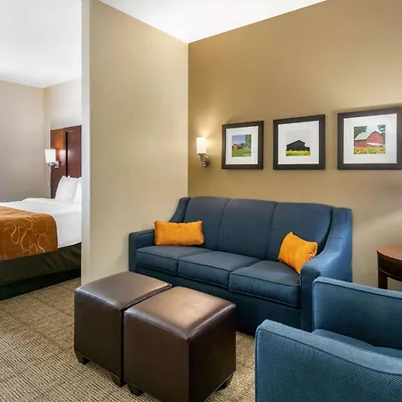Comfort Suites Hopkinsville Near Fort Campbell-2