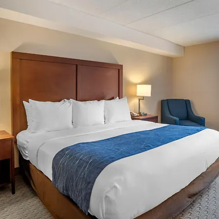 Comfort Inn Shady Grove - Gaithersburg - Rockville-3