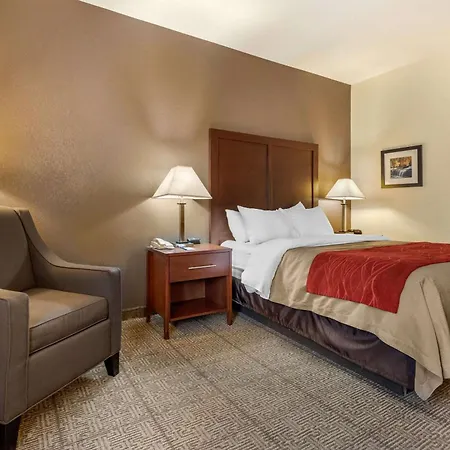 Comfort Inn Warren I-69-3