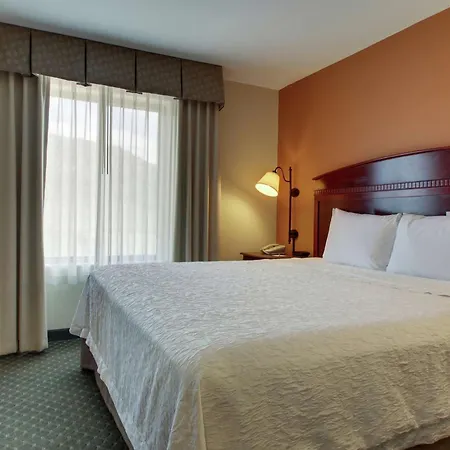 Hampton Inn & Suites Denver Littleton-3