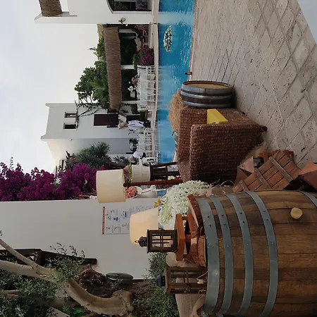 Ece "Vegan"Hotel Bodrum-2