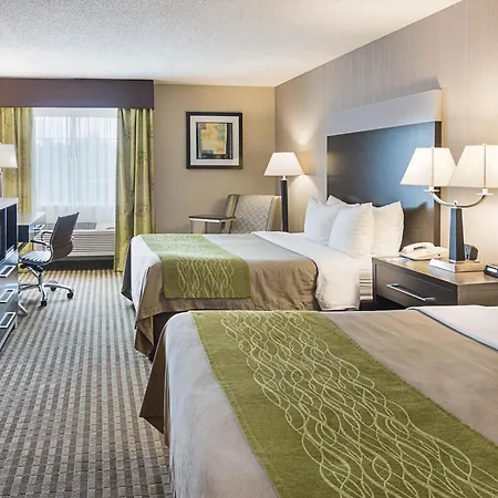 Comfort Inn Camden-3