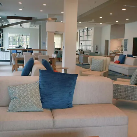 Hilton Garden Inn Tampa - Wesley Chapel-2