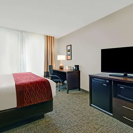 Comfort Inn & Suites Wilton-3