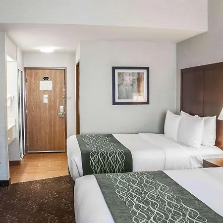 Comfort Inn Federal Way - Seattle-3