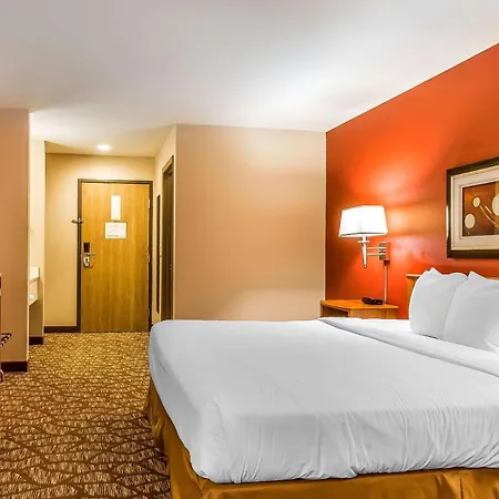 Quality Inn & Suites Chesterfield Village-2