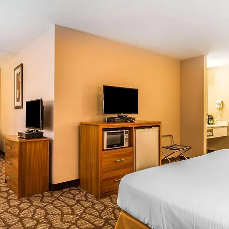 Quality Inn & Suites Chesterfield Village-2