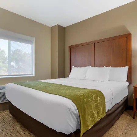 Comfort Suites Marysville-Yuba City-3