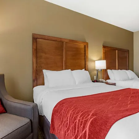 Comfort Inn & Suites Near Mt Rushmore-3
