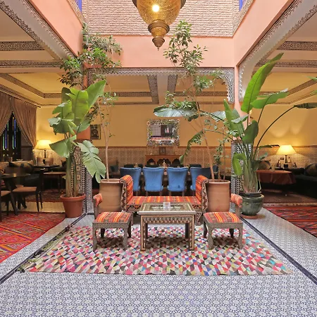 Riad Blue Eyes-2