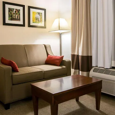 Comfort Suites Cumming-Atlanta Near Northside Hospital Forsyth-2
