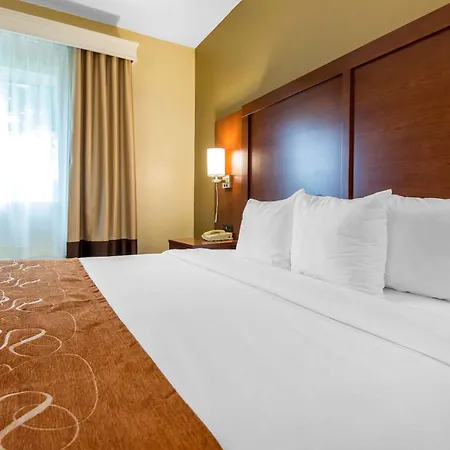 Comfort Suites Rochester Henrietta University Area-2