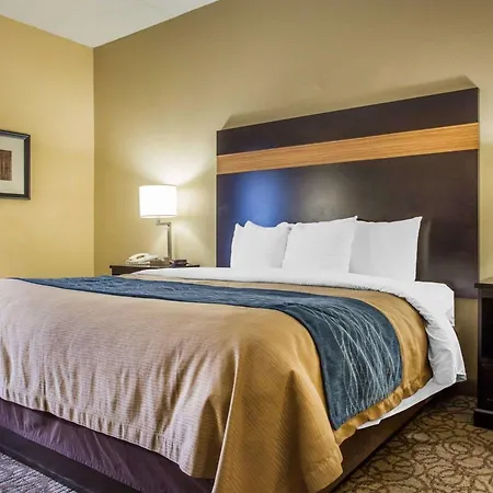 Comfort Inn & Suites At Stone Mountain-3