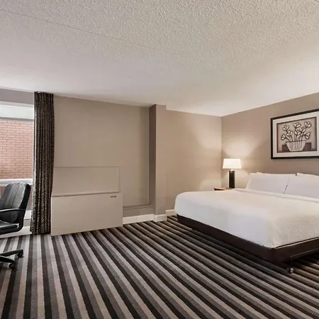 Royal Hotel Regina, Trademark Collection By Wyndham-3