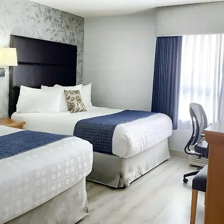 Best Western Plus Regency Inn And Conference Centre-2