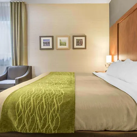 Comfort Inn & Suites-2