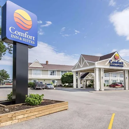 Comfort Inn & Suites-3