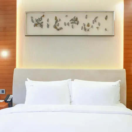 Holiday Inn Nanjing Xuanwu Lake By Ihg-3