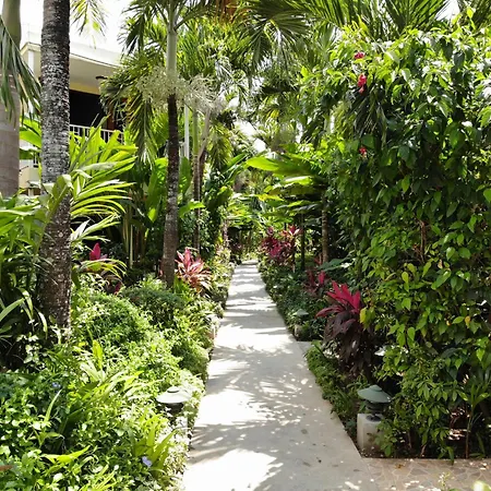 Negril Palms-2