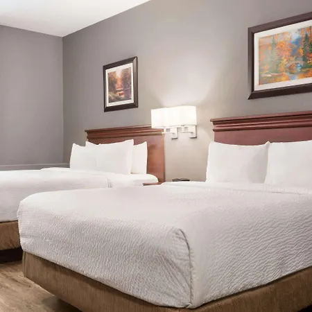 Days Inn By Wyndham Hamilton - Downtown-3