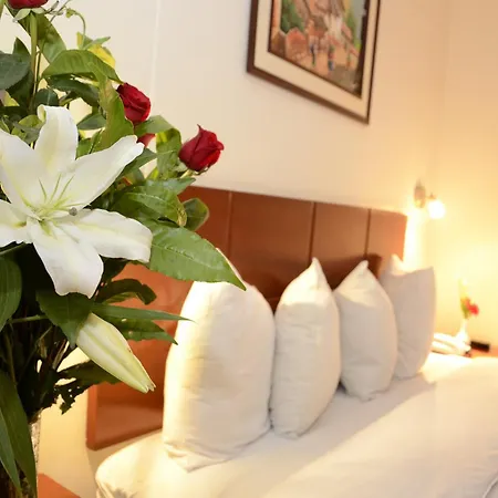 Golden Inca Hotel-2