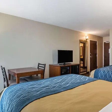 Comfort Inn Edwardsville - St Louis-2