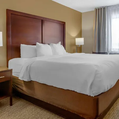 Comfort Inn Sault Ste Marie Mi-2