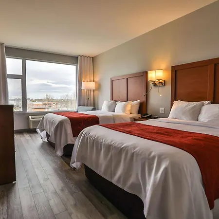 Comfort Inn & Suites-3
