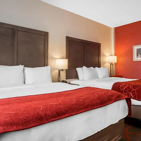 Comfort Inn & Suites Near Stadium-2