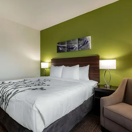 Sleep Inn & Suites Tampa South-3