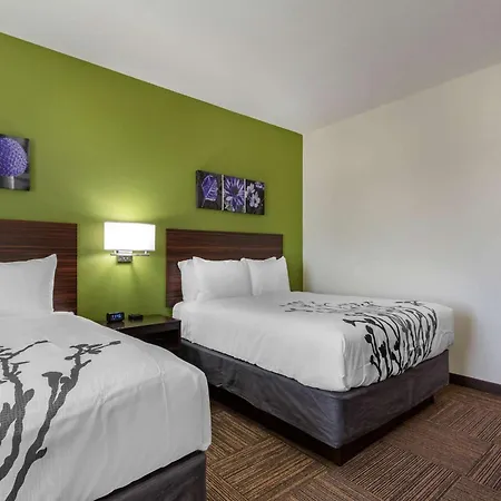 Sleep Inn & Suites Tampa South-2