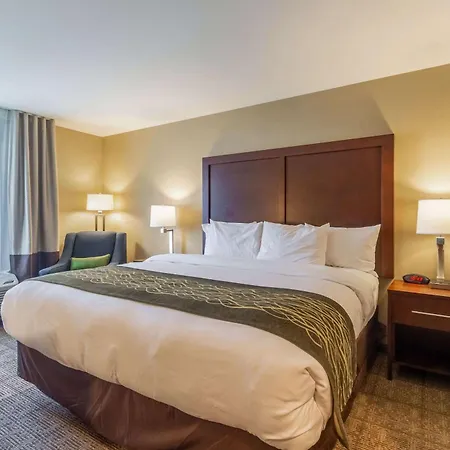 Comfort Inn & Suites - Harrisburg Airport - Hershey South-2