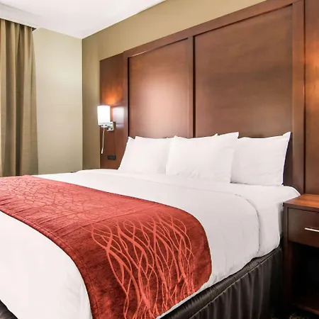 Comfort Inn & Suites - Independence-3