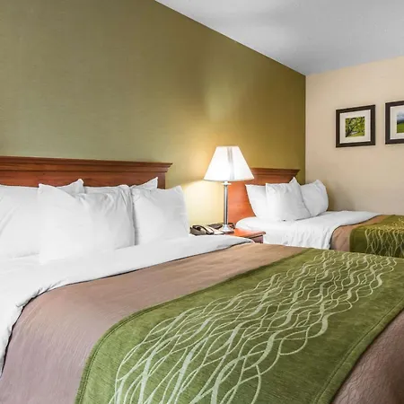 Comfort Inn Weirton - Steubenville-3