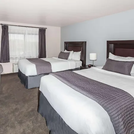 Baymont By Wyndham Glenview-3