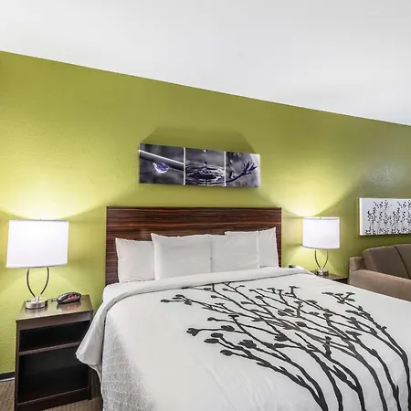 Sleep Inn & Suites Fort Worth - Fossil Creek-2