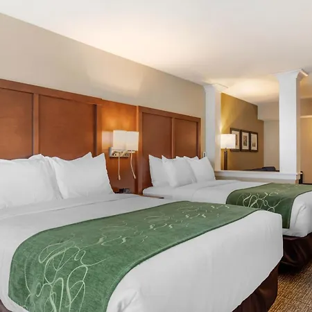 Comfort Inn & Suites Schenectady - Scotia-2