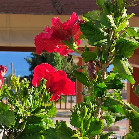 Magia Village Resort-3