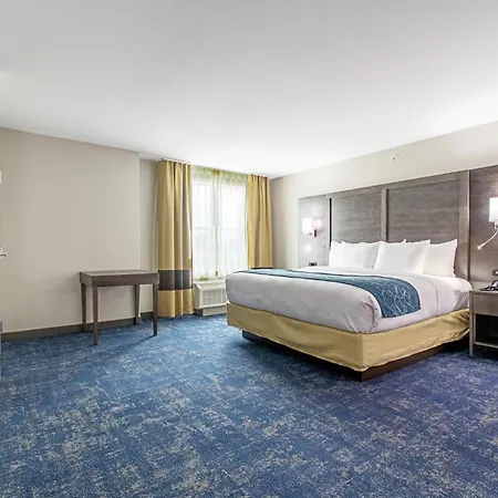 Comfort Suites Humble Houston Iah-2